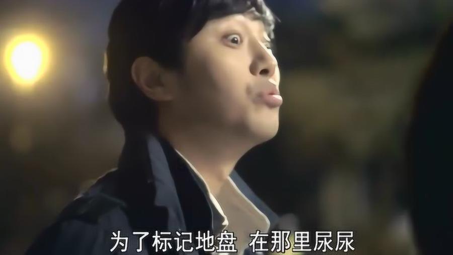 妙鸭相机app下载官网